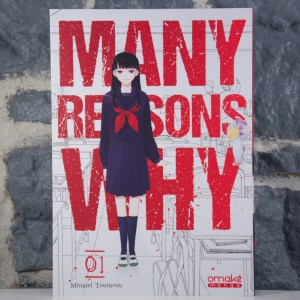Many Reasons Why 1 (01)